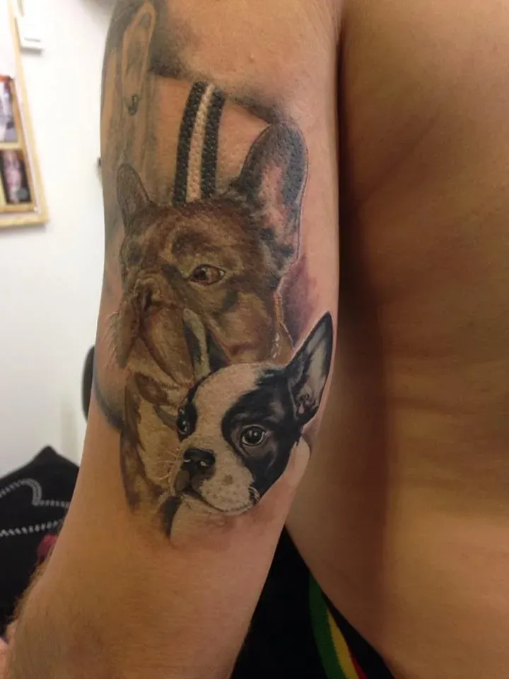 Tattoo Mascota