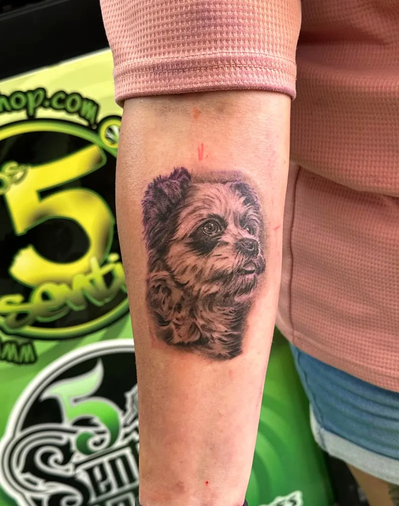 Tattoo Mascota